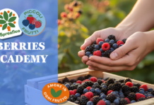 Dopo l’Avocado Academy, Spreafico dà vita alla Berries Academy