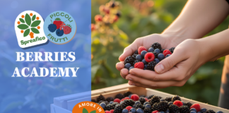 Dopo l’Avocado Academy, Spreafico dà vita alla Berries Academy