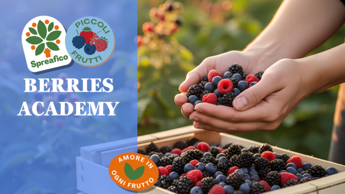Dopo l’Avocado Academy, Spreafico dà vita alla Berries Academy