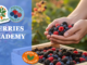 Dopo l’Avocado Academy, Spreafico dà vita alla Berries Academy