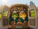 Zespri, una immagine del nuovo spot