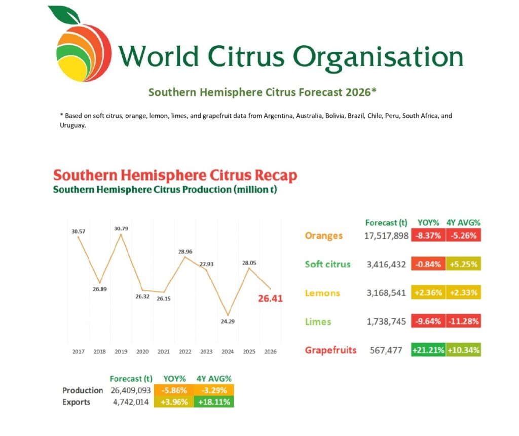 Stime di produzione emisfero Sud per il comparto agrumicolo da parte della world citrus Organization