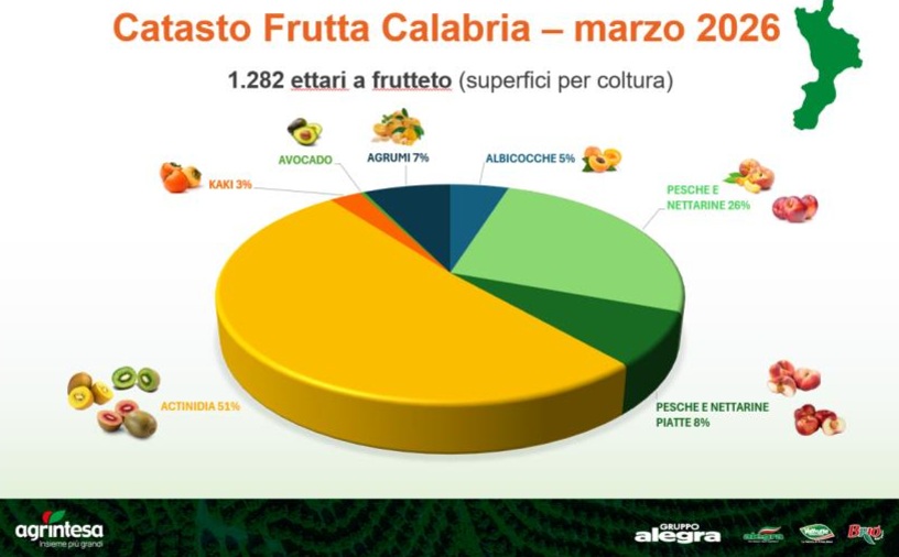 La produzione made in Calabria di Agrintesa