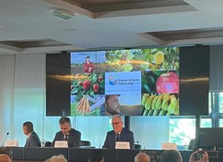 Un’idea di sostenibilità per tutti: nasce Generazione Ortofrutta