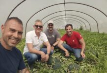 Al via in Sicilia la campagna dell’anguria Merens Foto squadra Merens: Marco Spataro (titolare BioHand) Vincenzo Zangari (sales representative Sicilia), Rodolfo Calvo (sales representative Sicilia), Andrea Cilio (product development specialist)
