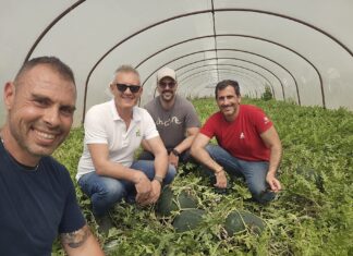Foto squadra Merens: Marco Spataro (titolare BioHand) Vincenzo Zangari (sales representative Sicilia), Rodolfo Calvo (sales representative Sicilia), Andrea Cilio (product development specialist)