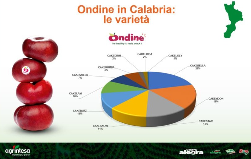 La produzione di Ondine in Calabria di Agrintesa
