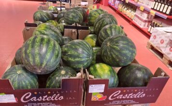 Andamento prezzi ortofrutta in Italia al primo giugno 2026 Aumentano i quantitativi della angurie
