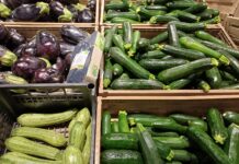Scende il prezzo delle zucchine