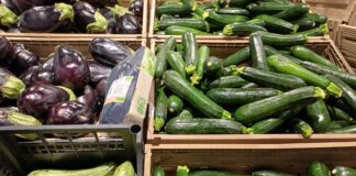 Scende il prezzo delle zucchine