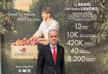 Export estivo, Naturitalia rafforza la presenza in Europa con drupacee, uva seedless e kiwi Augusto Renella, marketing manager di Naturitalia