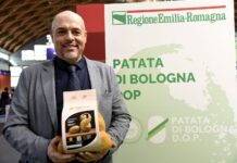 Patata di Bologna Dop, raccolta 2026-27 al via con 390 ettari stabili Davide Martelli, presidente del Consorzio di tutela Patata di Bologna Dop