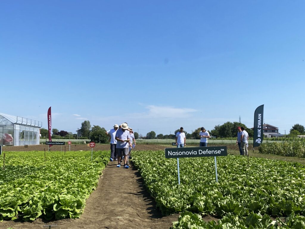 Demo Days Rijk Zwaan, Nasonovia Defense