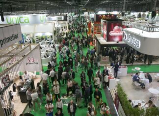 Fruit Attraction 2026, conferme e novità in attesa di ottobre Veduta dall'alto dei padiglioni affollati della fiera dell'ortofrutta Fruit Attraction con visitatori, stand aziendali ed espositori del settore agricolo