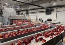 Agrofresh punta sul post-raccolta per allungare la shelf-life di mele e pere Grazie all'innovazione tecnologica Agrofresh aiuta a limitare gli scarti