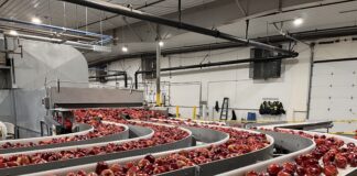 Grazie all'innovazione tecnologica Agrofresh aiuta a limitare gli scarti