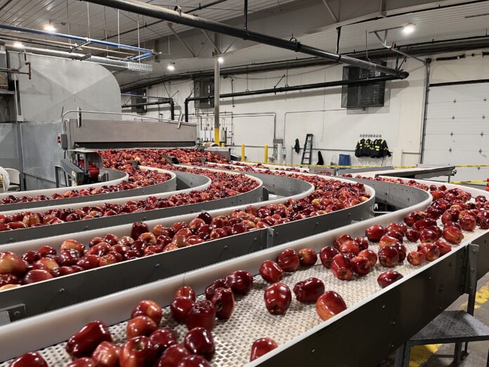 agrofresh Grazie all'innovazione tecnologica Agrofresh aiuta a limitare gli scarti