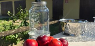 Nettarine di Romagna Igp, un prodotto in forte ascesa