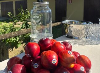Pesca e Nettarina di Romagna Igp, la stagione 2026 parte con volumi in recupero Nettarine di Romagna Igp, un prodotto in forte ascesa