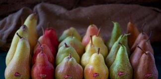 Pere a amrchio Opera