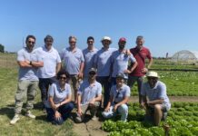 Rijk Zwaan, nuove difese genetiche per la lattuga da pieno campo Demo Days, squadra Rijk Zwaan Italia