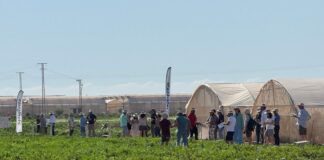 Syngenta riunisce la filiera del-melone e-dell'anguria a La Puebla, Murcia, Spagna