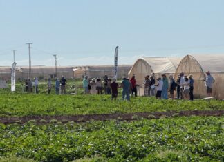 Syngenta riunisce la filiera del-melone e-dell'anguria a La Puebla, Murcia, Spagna