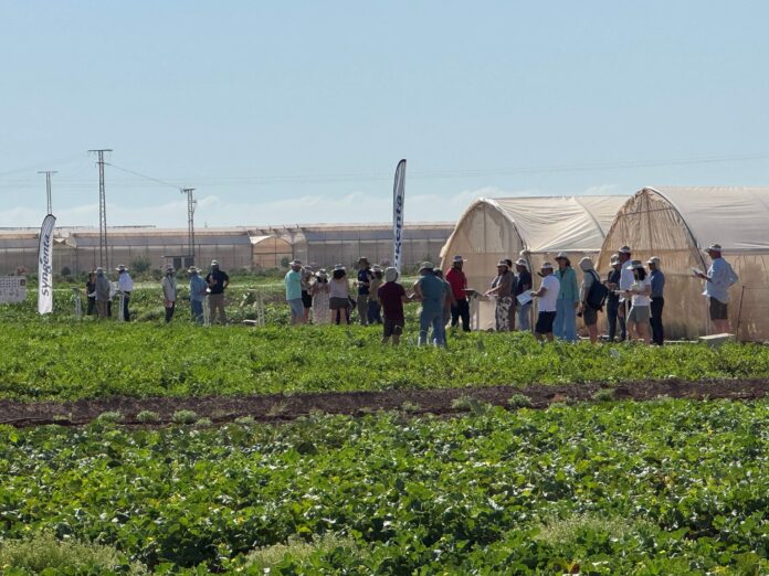Syngenta Syngenta riunisce la filiera del-melone e-dell'anguria a La Puebla, Murcia, Spagna