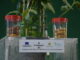 Il Consorzio produttori patate associati sperimenta nuove tecniche come l'aeroponica