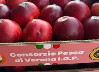 La Grande Bellezza Italiana sostiene la Pesca di Verona Igp: campagna al via con mille tonnellate #vocidellortofrutta Pesca di Verona Igp in cassetta