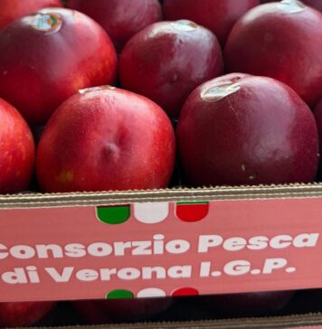 Pesca di Verona Igp in cassetta