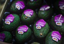 Dal campo al banco: la formazione degli addetti #Repartofresh