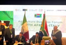 Uva da tavola, nuovo sbocco in Sudafrica per l’export italiano La firma dell'accordo