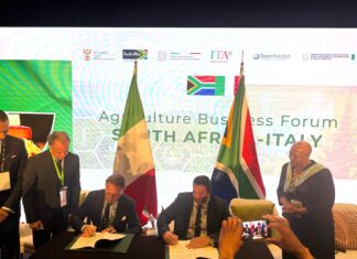 Uva da tavola, nuovo sbocco in Sudafrica per l’export italiano La firma dell'accordo