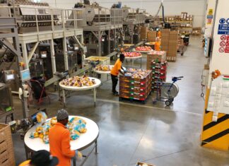 Romagnoli archivia una stagione positiva: quotazioni in crescita nonostante il calo delle rese Azienda Romagnoli, sstabilimento