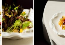 I piatti del menu Asteracee dello chef Sforza