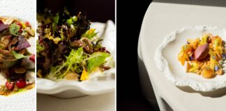 I piatti del menu Asteracee dello chef Sforza