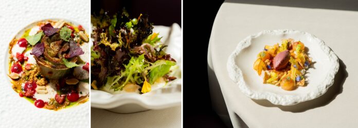 sforza_insalate I piatti del menu Asteracee dello chef Sforza