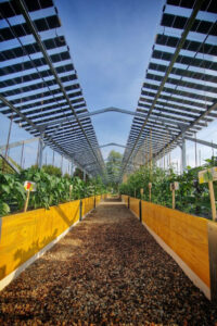 Copertura con pannelli agrivoltaici