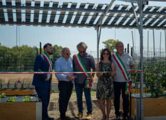 Agrivoltaico e orticoltura prende forma il BioOrto ElettroAttivo Taglio del nastro per il nuovo orto sostenibile