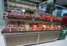 Continuano a salire i prezzi dei pomodori