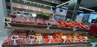 Continuano a salire i prezzi dei pomodori