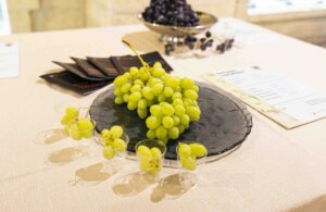 Nuove varietà di uve seedless presentate a Regina di Puglia