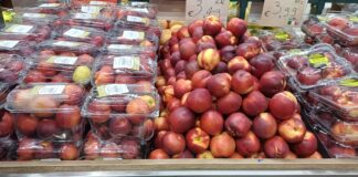 Andamento prezzi ortofrutta in Italia al 13 luglio 2026 Quotazioni in calo per pesche e nettarine