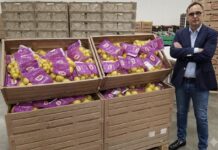 Mercato dei limoni, crescono confezionato e buccia edibile: Dole punta su filiera e innovazione Daniele D'Antrassi, category manager Citrus di Dole Italia