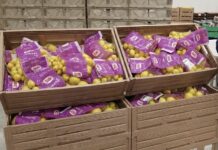 Mercato dei limoni, crescono confezionato e buccia edibile: Dole punta su filiera e innovazione Daniele D'Antrassi, category manager Citrus di Dole Italia