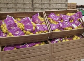 Mercato dei limoni, crescono confezionato e buccia edibile: Dole punta su filiera e innovazione Daniele D'Antrassi, category manager Citrus di Dole Italia