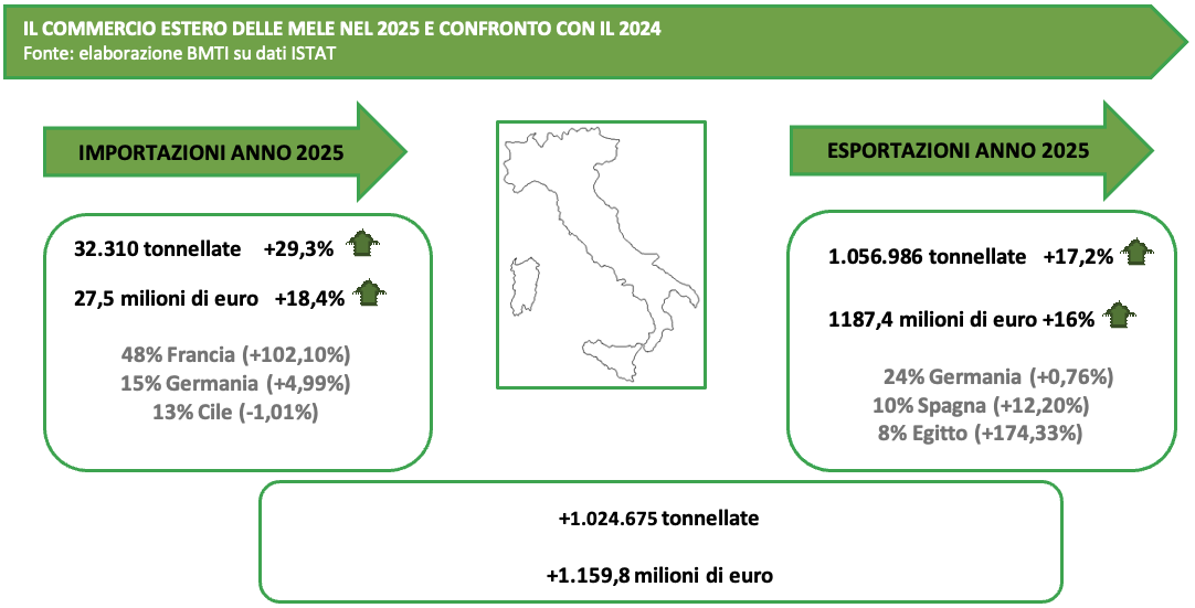 dati Bmti sull'export 2025 di mele dall'Italia