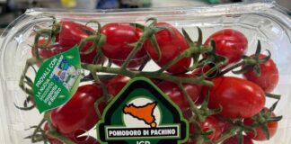 Il nuovo packaging del Pomodoro di Pachino Igp con il bollino del progetto