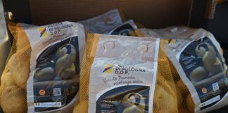 Patata di Bologna Dop varietà Primera